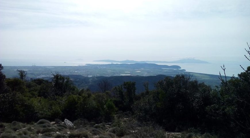 Monte Calvi_Ilaria