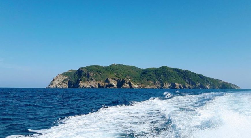 GORGONA PANORAMICA