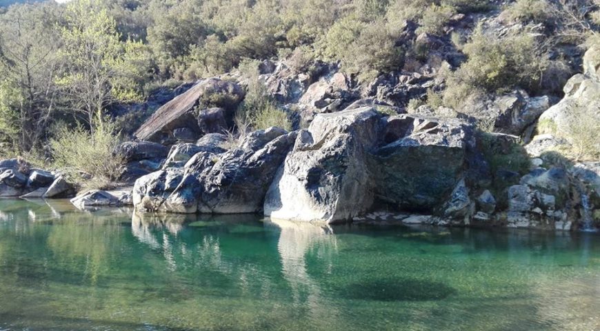 fiume pavone