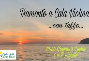 locandina cala violina