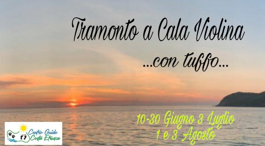 locandina cala violina