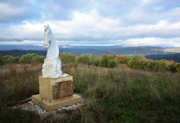 frassine cavallo sauro