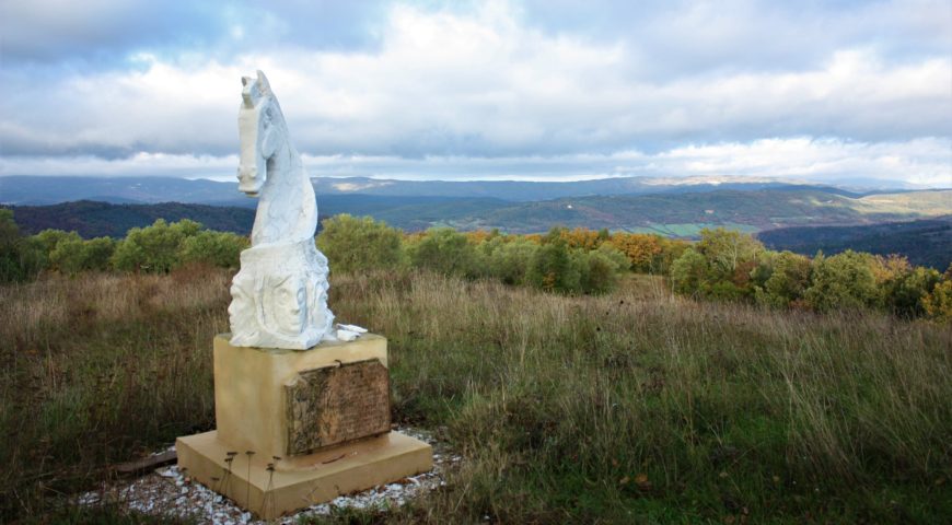 frassine cavallo sauro