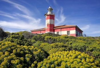 118173178_2648649691904038_1275658650417042781_n