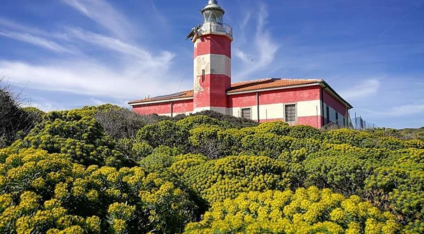 118173178_2648649691904038_1275658650417042781_n