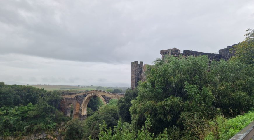 582430382_1420706600063419_2605328538790960209_n