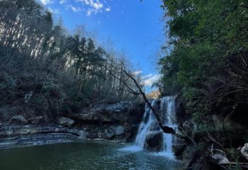 591966540_1436170791850333_2033245492966091285_n