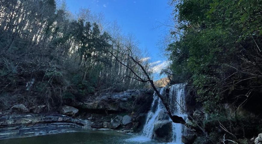 591966540_1436170791850333_2033245492966091285_n