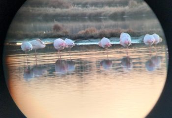 597832547_1309542467867467_2547910945372360146_n