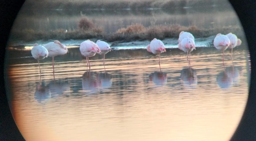 597832547_1309542467867467_2547910945372360146_n