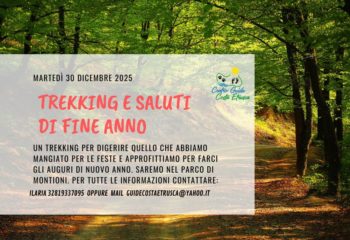 600282161_1447334604067285_2577192024317740359_n