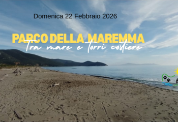 Aggiungi un titolo (2)