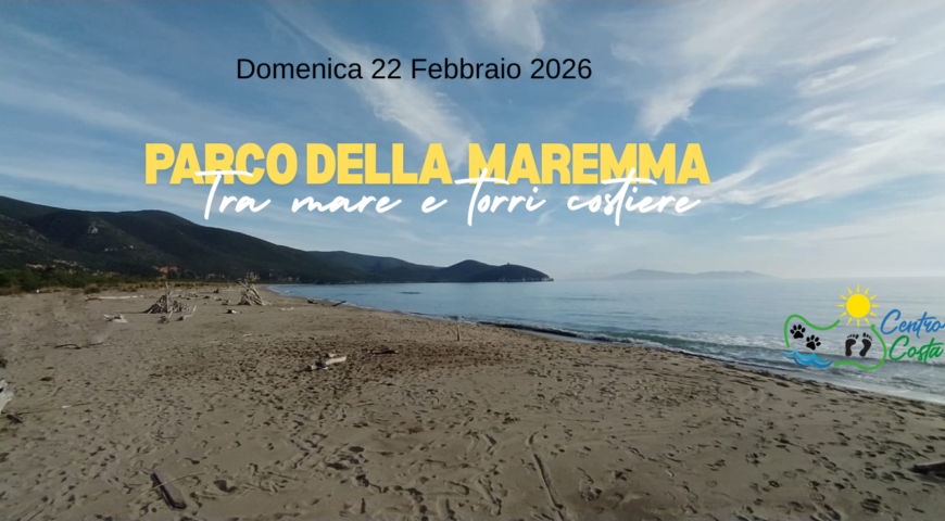 Aggiungi un titolo (2)