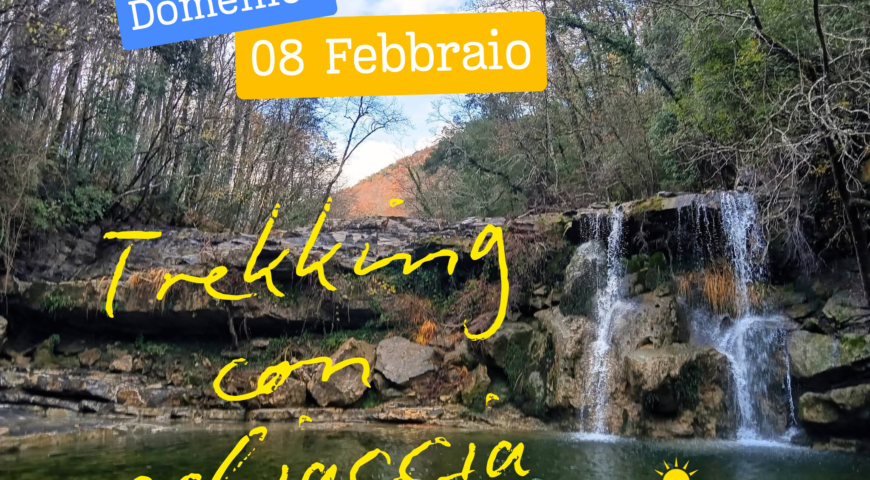 Domenica 18 Gennaio 2026