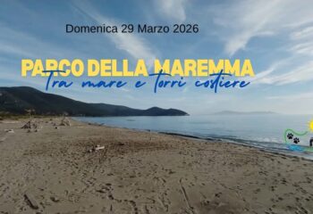 640452622_1508543024613109_7405481123576065739_n