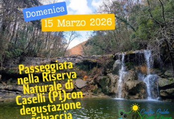 Domenica 18 Gennaio 2026 (1)