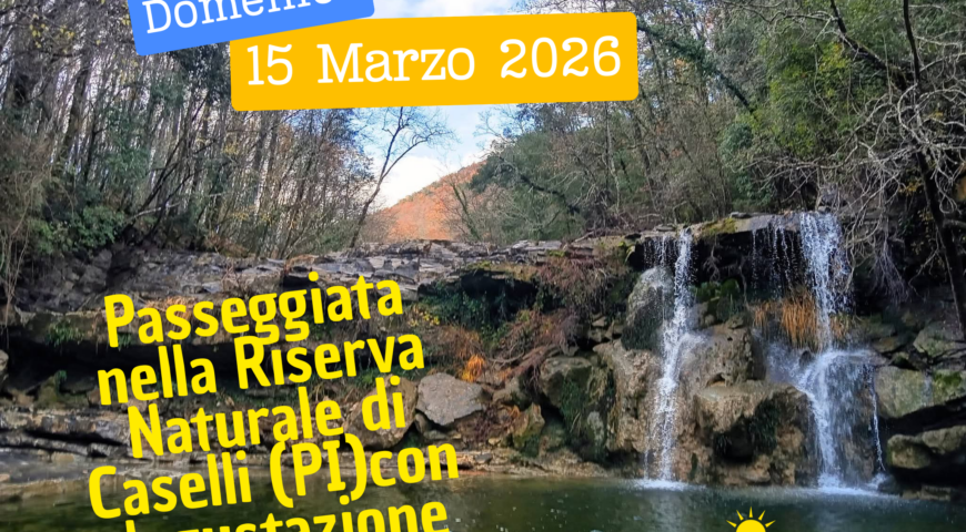 Domenica 18 Gennaio 2026 (1)
