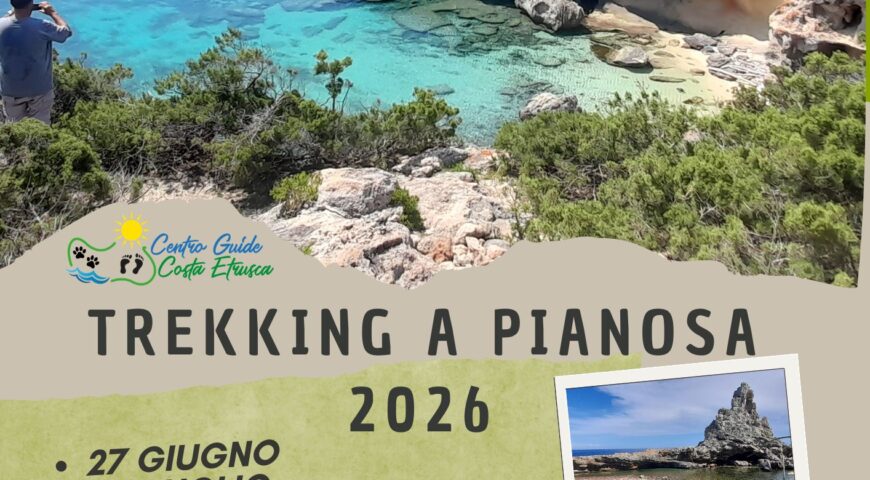 pianosa 2026