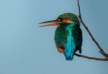 650830646_1386888103466236_4874028336599957863_n