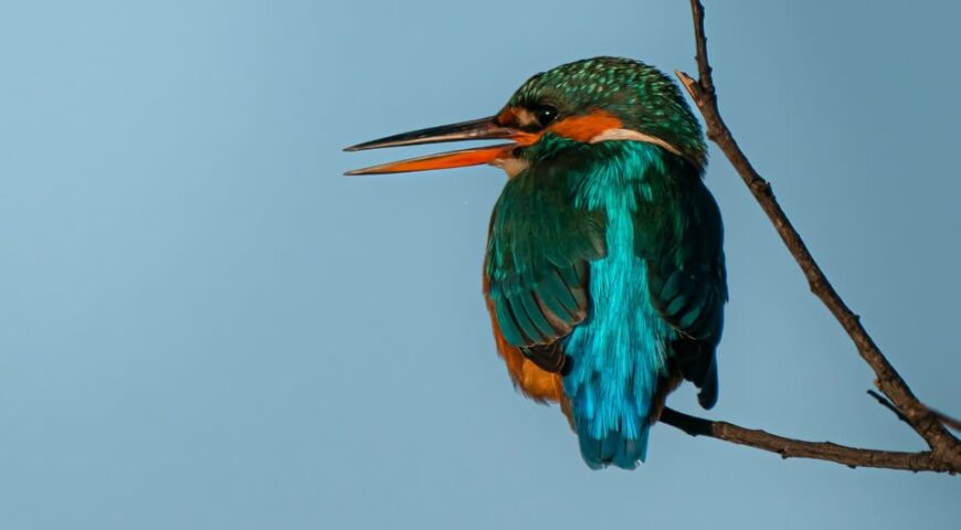 650830646_1386888103466236_4874028336599957863_n