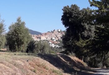 650879963_1521665113300900_522475035177298624_n