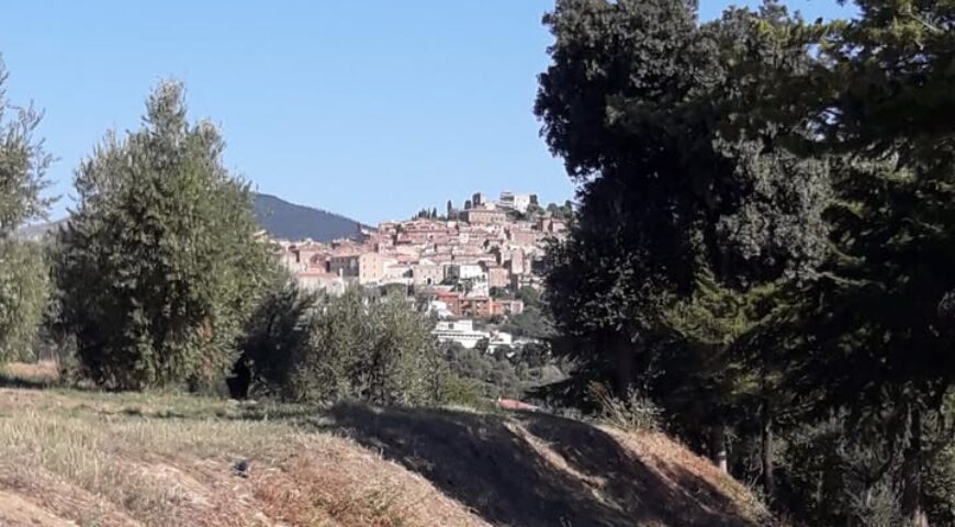 650879963_1521665113300900_522475035177298624_n